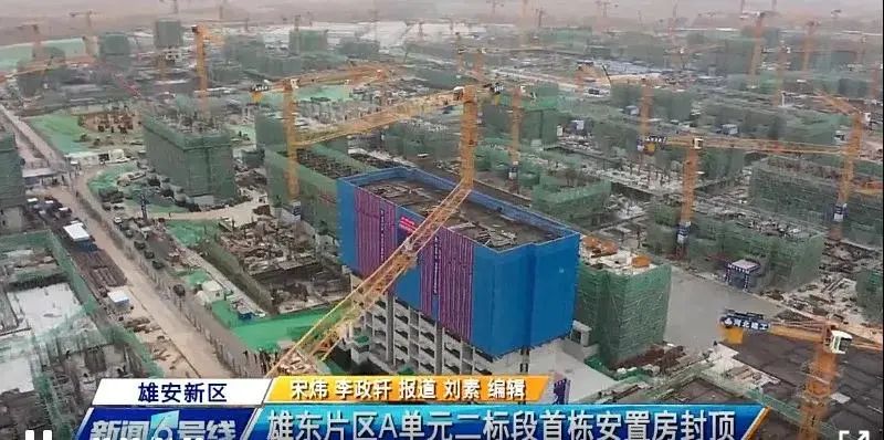 焦點(diǎn)！大將軍驚艷亮相雄安德維斯建博會(huì)，流量爆棚引圍觀！(圖7)