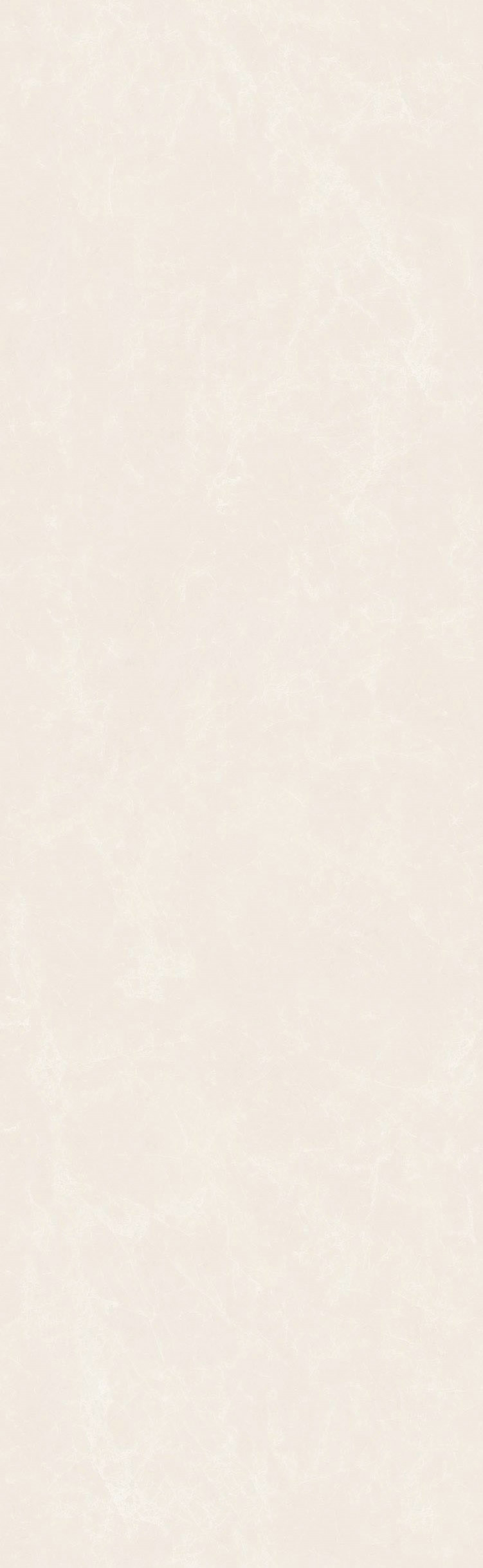 頂級(jí)白玉蘭