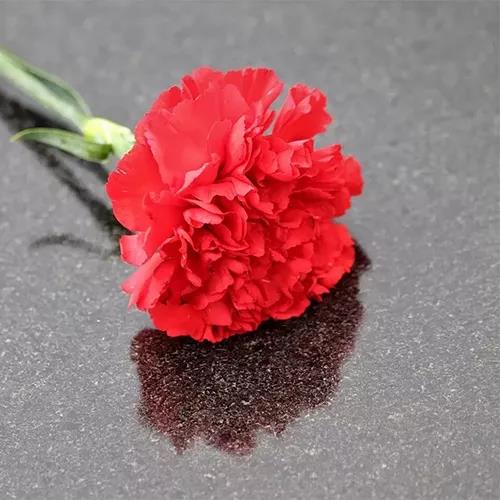 攻略丨了解多姿多彩的瓷磚紋理，才能裝出時(shí)尚有范的美好生活！
(圖3)