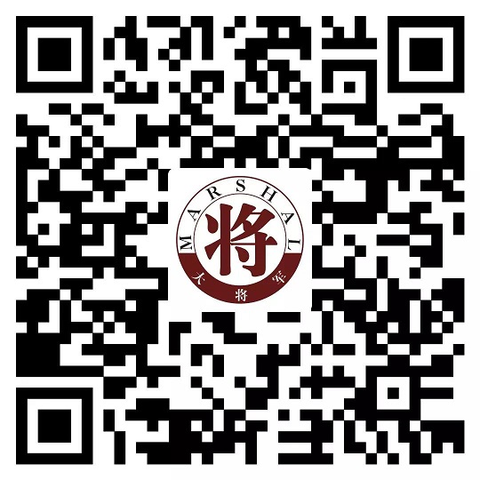 攻略丨了解多姿多彩的瓷磚紋理，才能裝出時(shí)尚有范的美好生活！
(圖8)