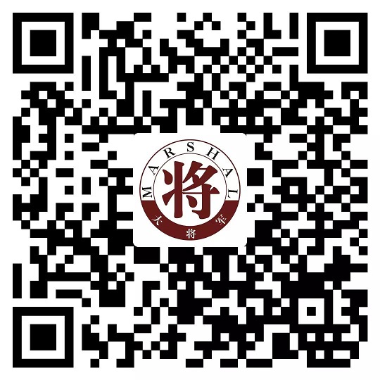 攻略丨了解多姿多彩的瓷磚紋理，才能裝出時(shí)尚有范的美好生活！
(圖11)