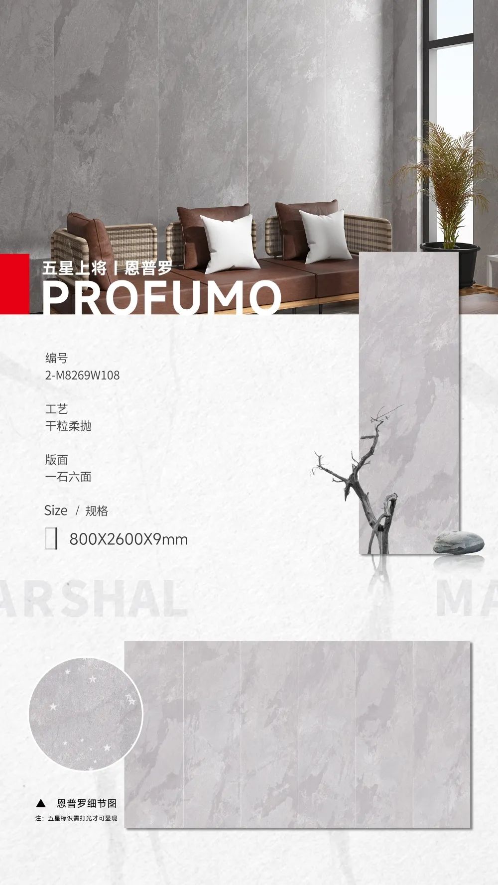 五星上將| 超級IP產(chǎn)品，打造理想生活樣本(圖7)